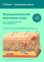 RUSSISCH - Wundmanagement Tutorial 1: Funktionelle Anatomie der Haut